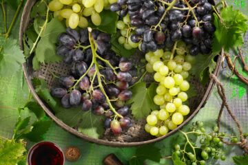 uvas en cesta