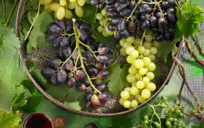 uvas en cesta