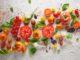varidad de tomates