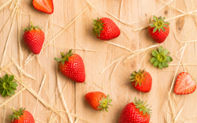 fresas
